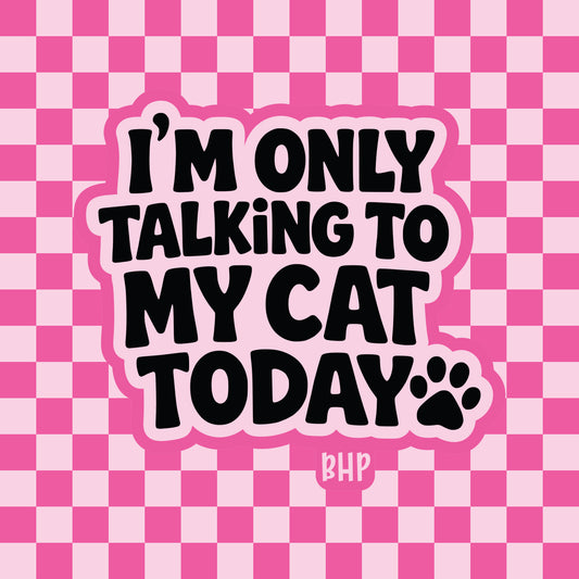 I'm only talking to my cat today silicone freshie mold