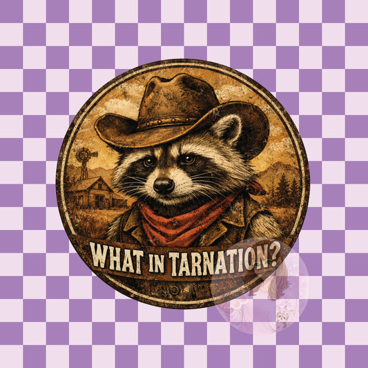 What in tarnation raccoon - round
