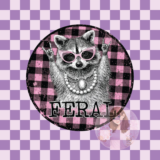 Feral raccoon - round