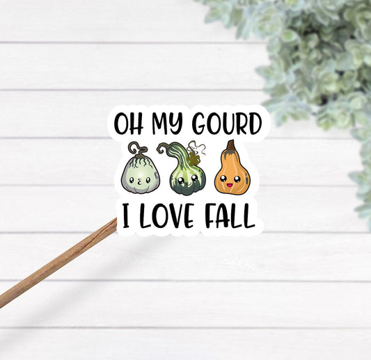 Oh my gourd I love fall sticker - fall sticker - gourd sticker - funny fall sticker - waterproof vinyl sticker - oh my gourd decal