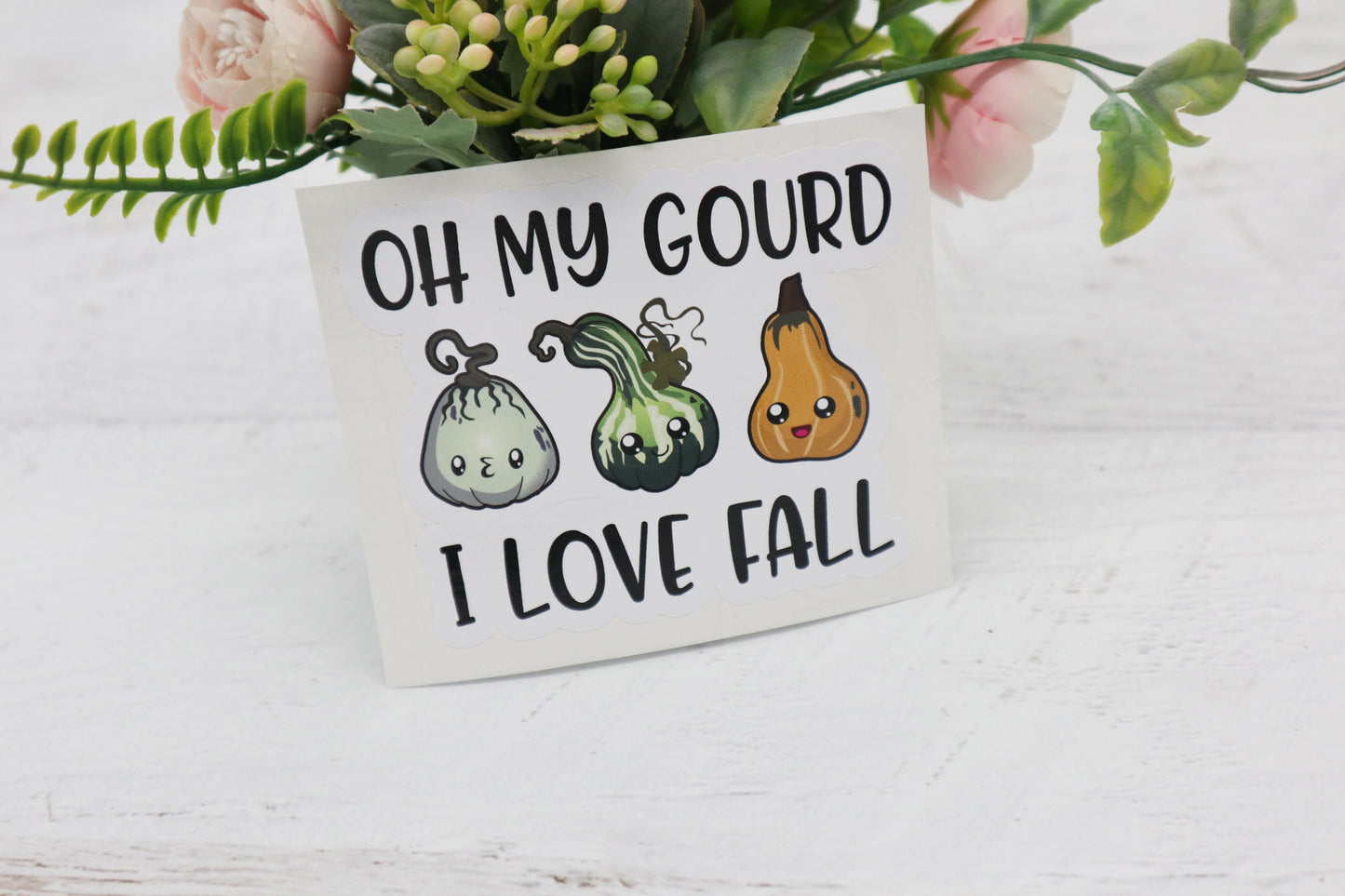 Oh my gourd I love fall sticker - fall sticker - gourd sticker - funny fall sticker - waterproof vinyl sticker - oh my gourd decal