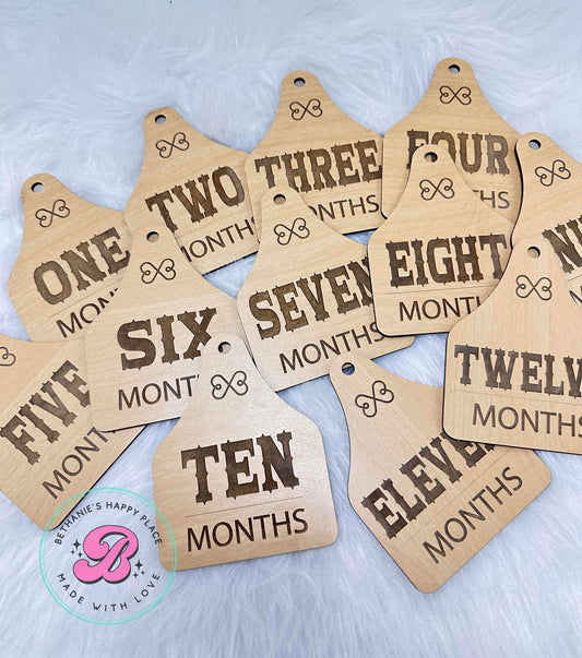 Western cow tag milestone markers, western baby gifts, monthly wood signs, shower gift for baby boy, wood tags with months, baby photo prop