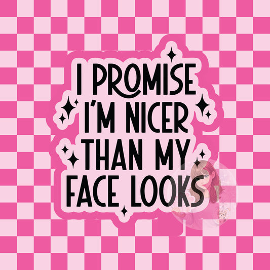 I promise I'm nicer than my face looks silicone freshie mold